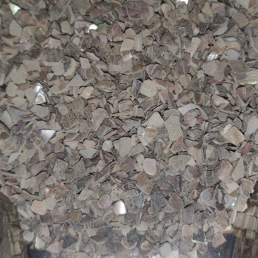 珍珠母中药材批发诚信经营量大从优