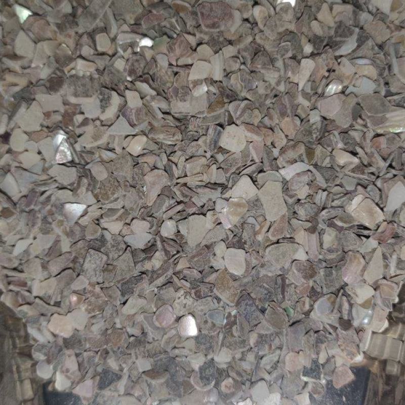 珍珠母中药材批发诚信经营量大从优