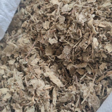 寻骨风中药材批发诚信经营量大从优