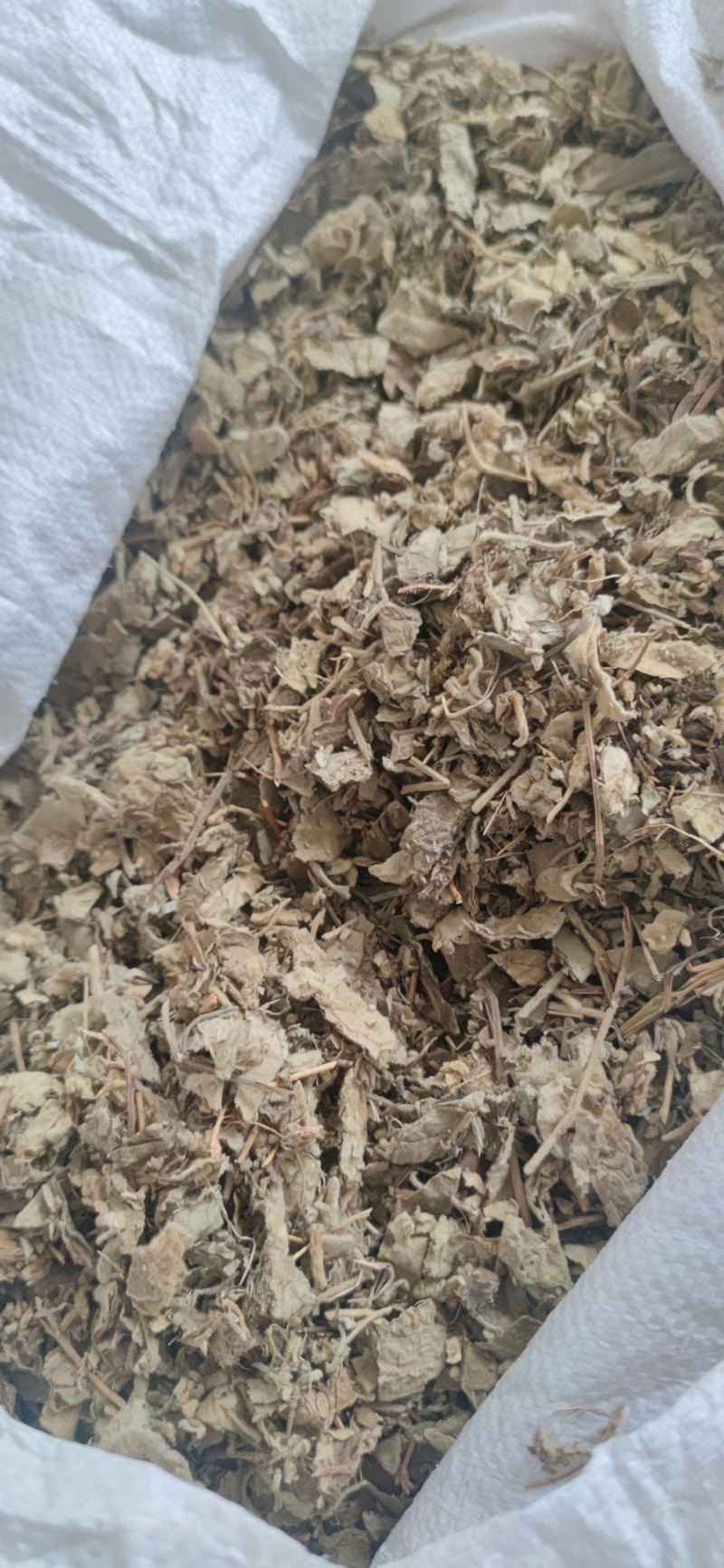 寻骨风中药材批发诚信经营量大从优