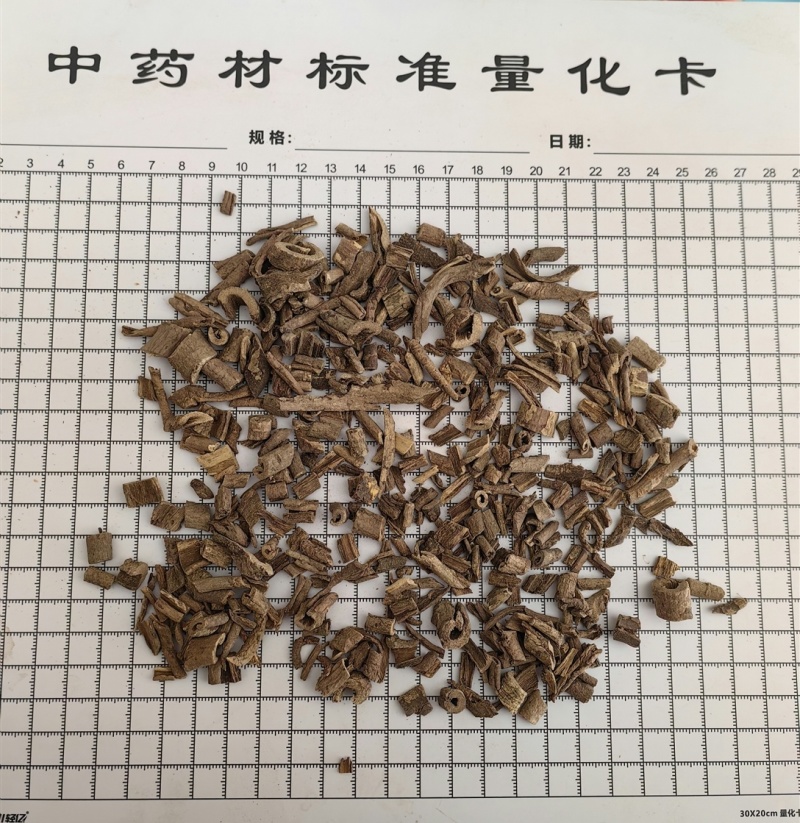 五加皮南五加皮优质无硫批发各种中药材一手货源