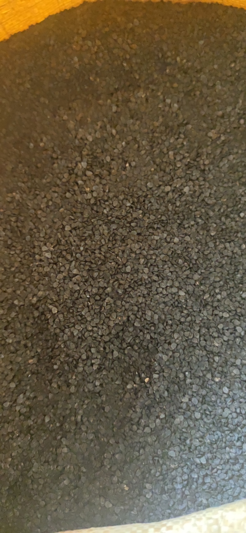 韭菜子中药材批发