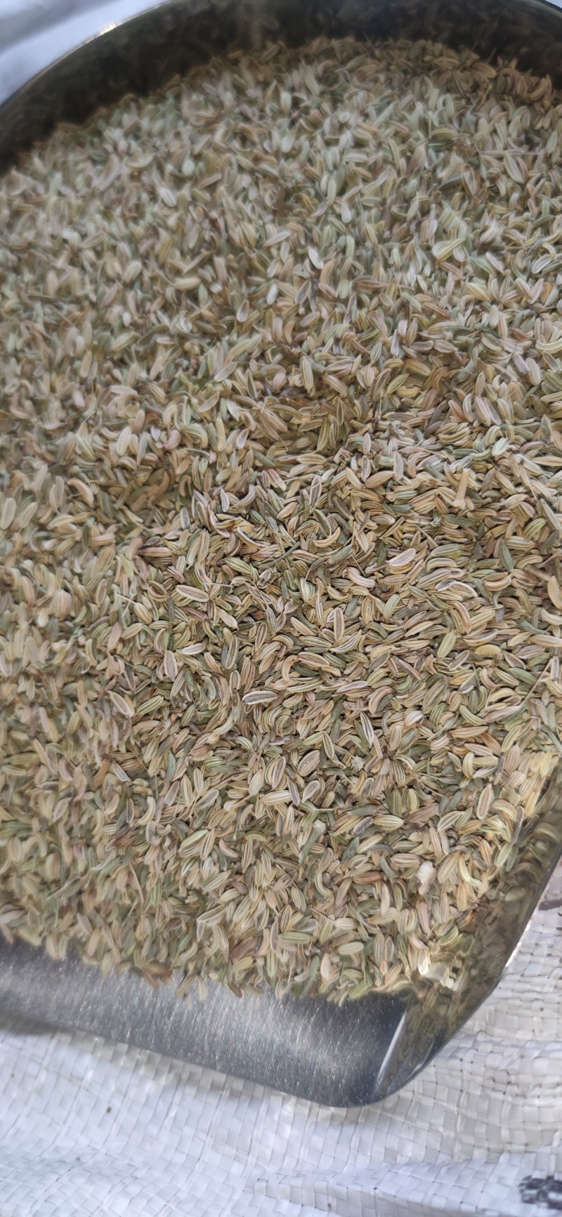小茴香中药材批发一手货源品优价廉诚信第一