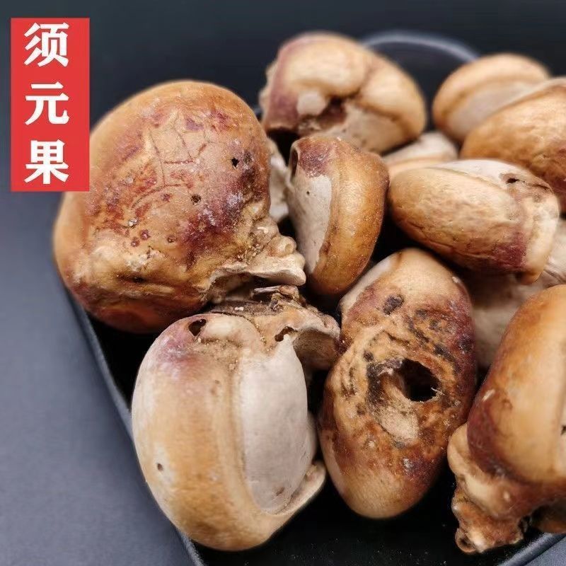 中药材须元果1公斤无根果隐孔菌树荷包觅阳果
