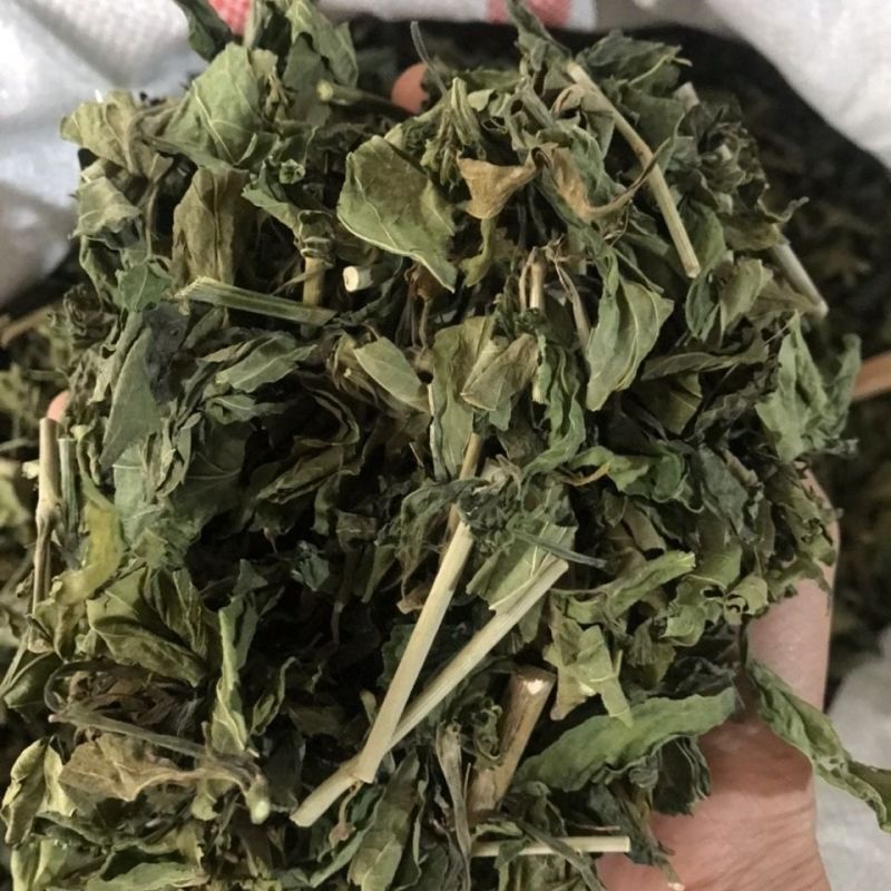 忧遁草1公斤,全草晒干,黎王草,忧盾草,海南五指山