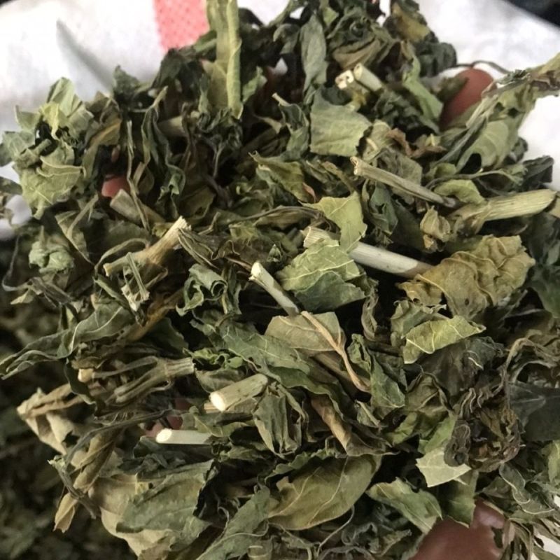 忧遁草1公斤,全草晒干,黎王草,忧盾草,海南五指山