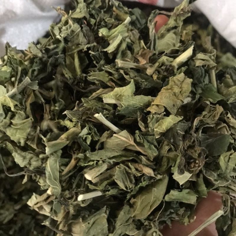 忧遁草1公斤,全草晒干,黎王草,忧盾草,海南五指山
