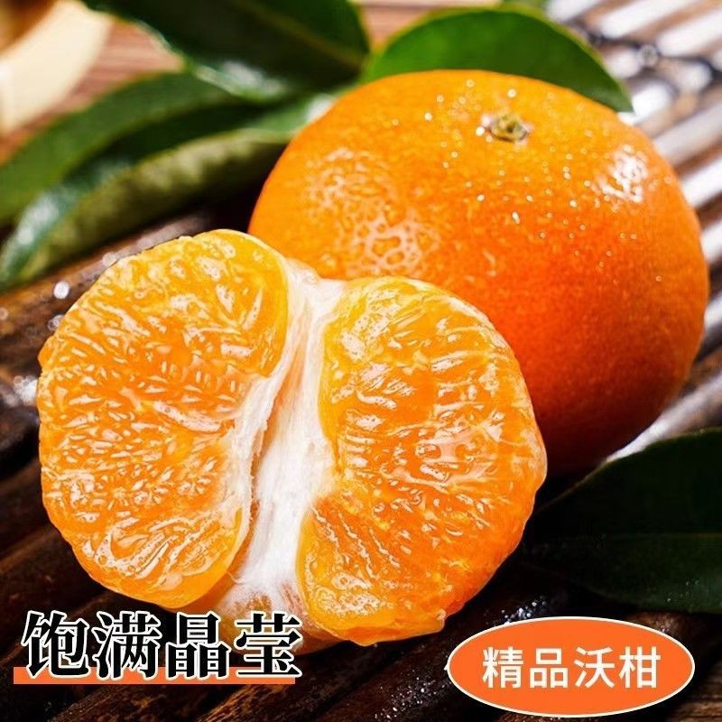 精品优质沃柑，货源充足对接电商、超市（精品包装）