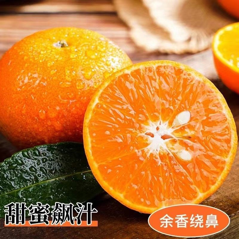 精品优质沃柑，货源充足对接电商、超市（精品包装）
