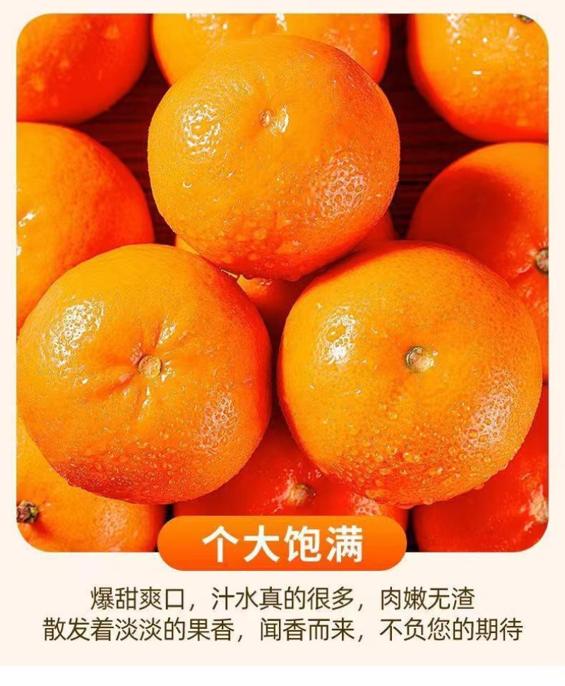 精品优质沃柑，货源充足对接电商、超市（精品包装）