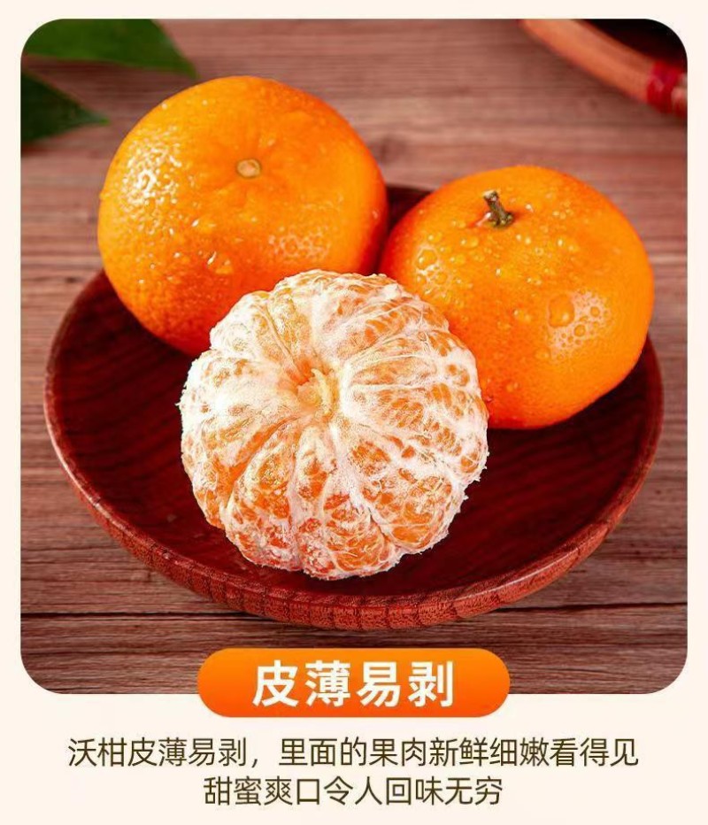 精品优质沃柑，货源充足对接电商、超市（精品包装）