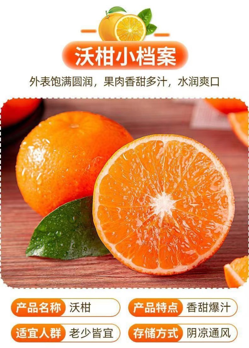 精品优质沃柑，货源充足对接电商、超市（精品包装）
