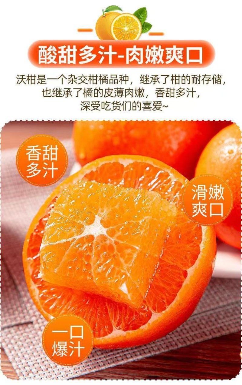精品优质沃柑，货源充足对接电商、超市（精品包装）