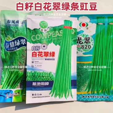 白籽白花翠绿豇豆种子特长豆角种子油亮翠绿肉厚长豇豆种籽