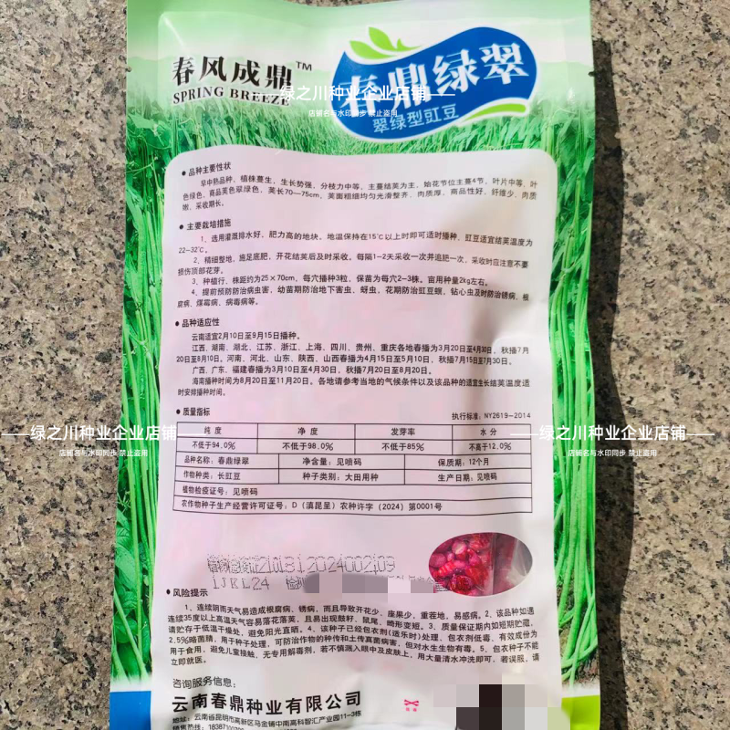 白籽白花翠绿豇豆种子特长豆角种子油亮翠绿肉厚长豇豆种籽