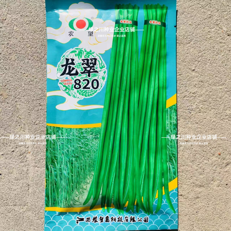 白籽白花翠绿豇豆种子特长豆角种子油亮翠绿肉厚长豇豆种籽