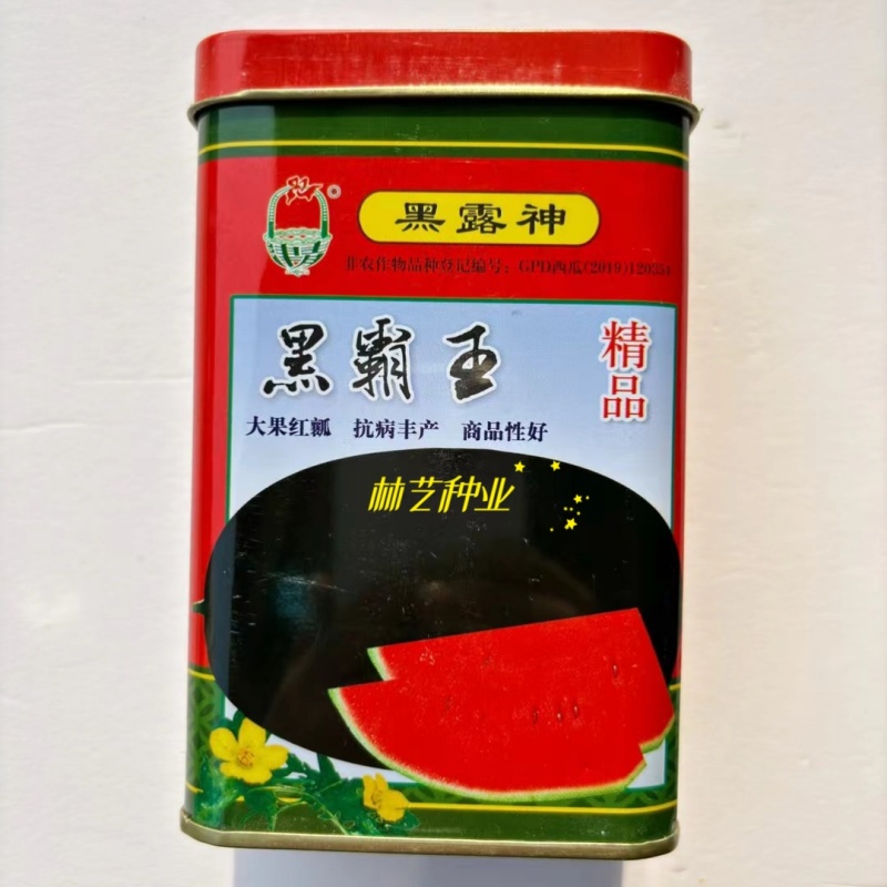黑霸王西瓜种子新育成的杂交中熟耐重茬品种皮黑瓤红脆甜多汁