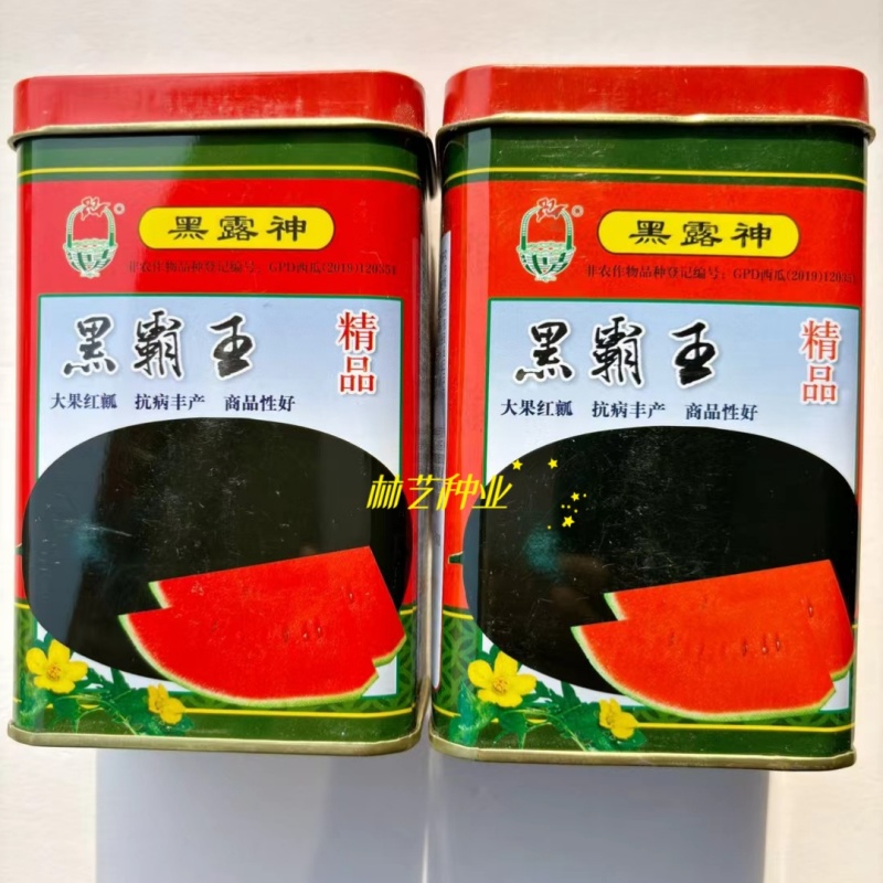 黑霸王西瓜种子新育成的杂交中熟耐重茬品种皮黑瓤红脆甜多汁