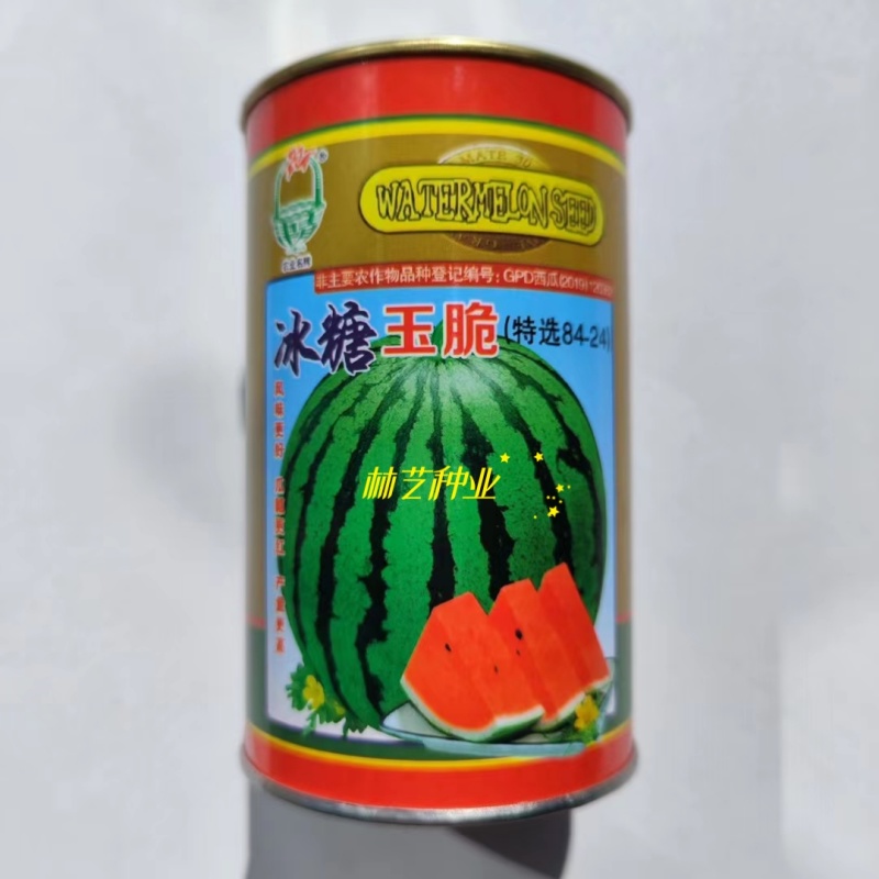 冰糖玉脆特选8424西瓜种子早熟高产薄皮红瓤超甜西瓜种籽