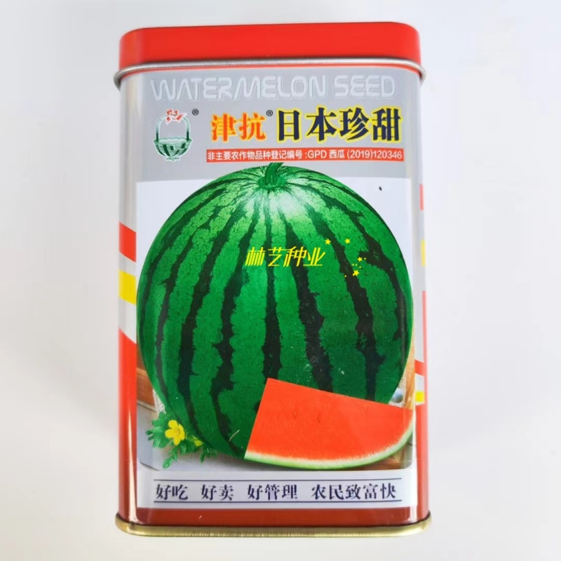 津抗日本珍甜西瓜种子抗病强早熟一代杂交圆花西瓜种籽春夏播