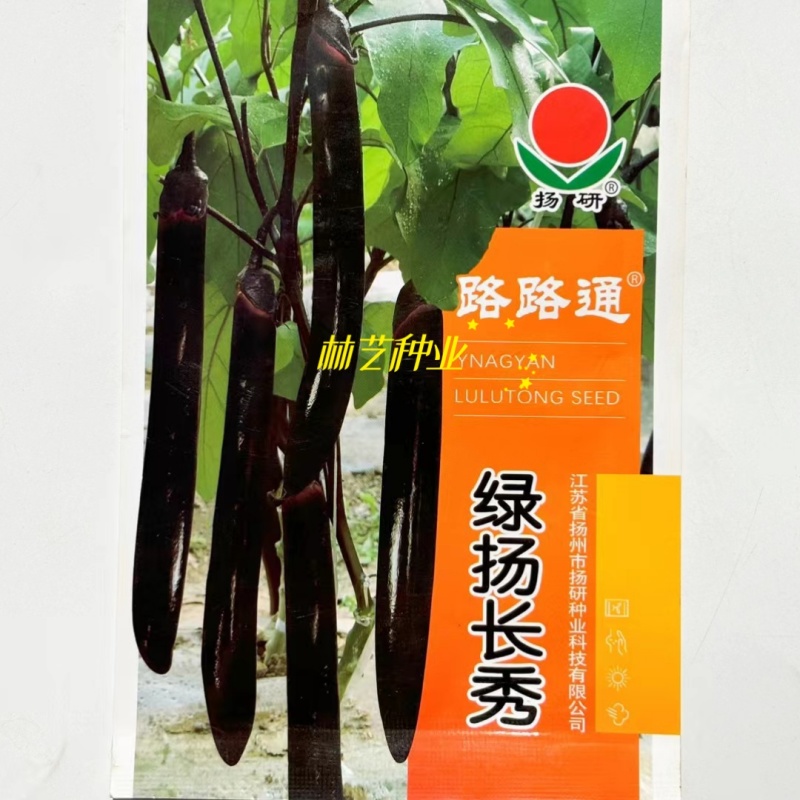 扬研绿扬长秀茄子种子早熟油亮黑紫长茄种籽顺直长棒形春秋播