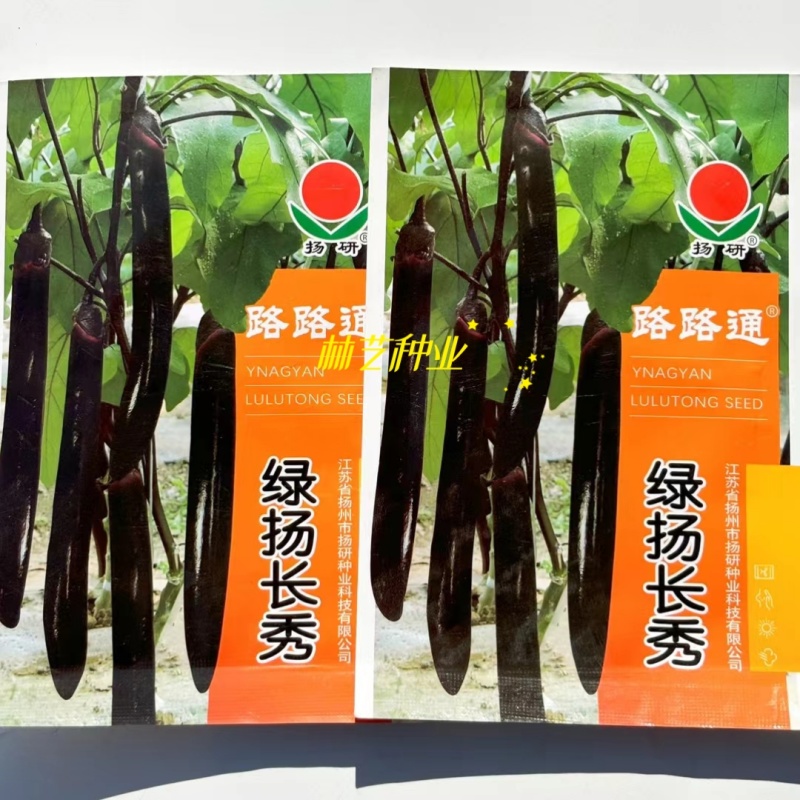扬研绿扬长秀茄子种子早熟油亮黑紫长茄种籽顺直长棒形春秋播