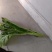 湖北江夏基地白菜苔开年初四开张大量有货欢迎全国客商订购