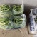 湖北江夏基地白菜苔开年初四开张大量有货欢迎全国客商订购