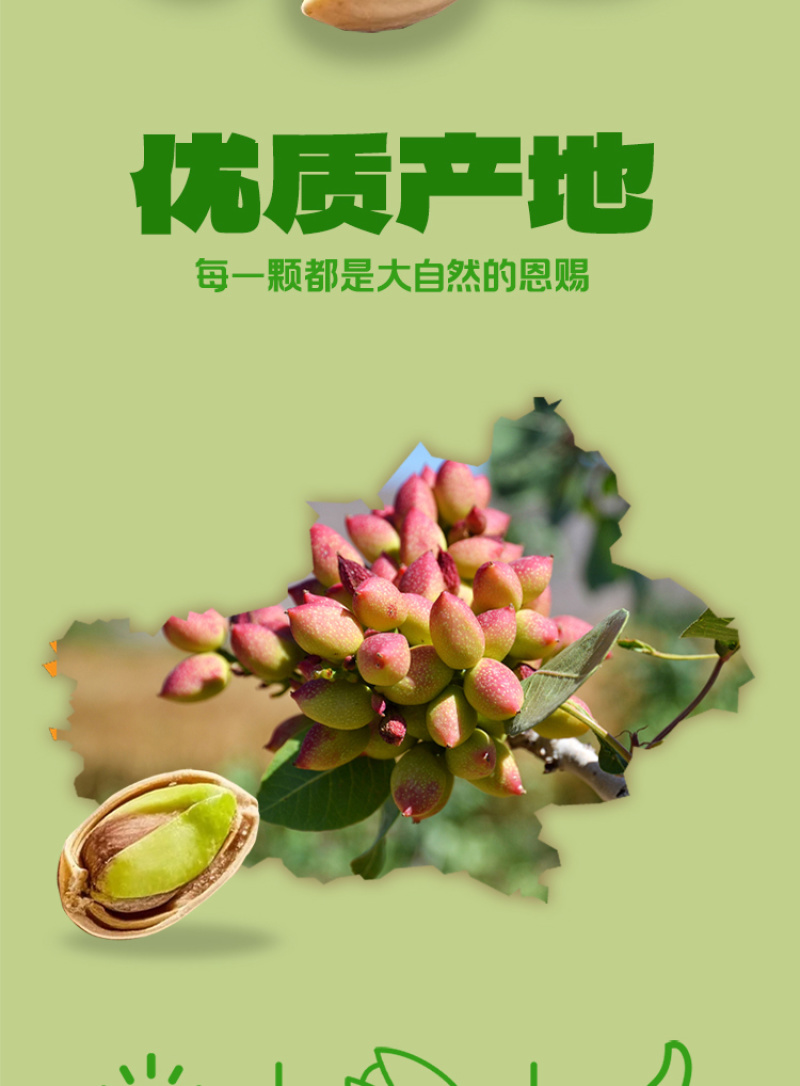 原色开心果盐烘炒原色大果无熏白果仁饱满厂家直销