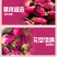 塞外玫瑰玫瑰花茶香气馥郁抗氧化品质高厂家直供