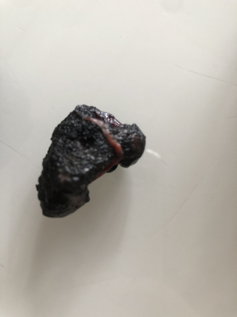 鹅宝！自家散养的大白鹅，纯粮食喂养，现有多枚鹅宝出售