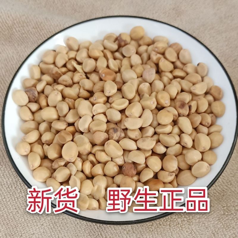 铁打豆1公斤中药材华佗豆拐子豆跌打豆铁打豆