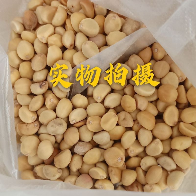 铁打豆1公斤中药材华佗豆拐子豆跌打豆铁打豆