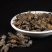 中药材牛虻虫蜚虻牛虻牛牤虫牛苍蝇牛蚊子牛盲瞎虻虫牛蚊子