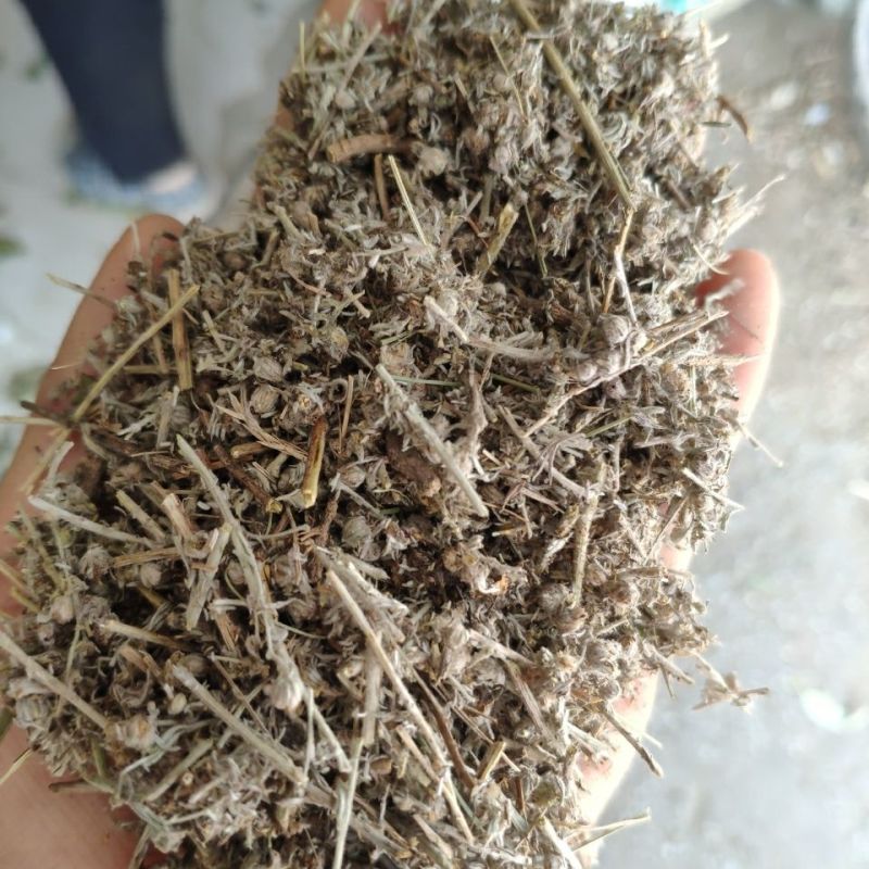 中药材小白蒿1公斤别名小白蒿白蒿冷蒿白蒿小