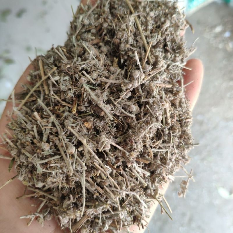 中药材小白蒿1公斤别名小白蒿白蒿冷蒿白蒿小