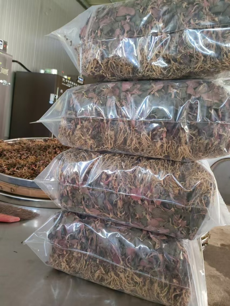 厂家直发各品种金线莲销售