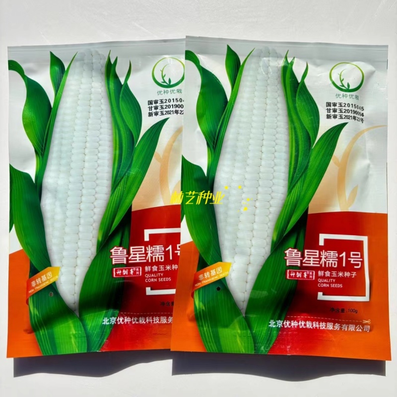 鲁星糯1号大棒糯玉米种子鲜食粮用饲用白玉米种籽鲜食玉米种