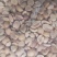 花生米【熟】花生颗粒磨酱专用食品专用
