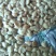 花生米【熟】花生颗粒磨酱专用食品专用