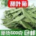 特级正宗甜菊叶甜叶菊24年新品无硫天然精选泡水喝的代糖低