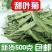 特级正宗甜菊叶甜叶菊24年新品无硫天然精选泡水喝的代糖低