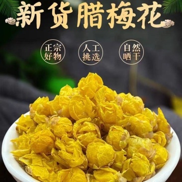 腊梅花茶新花腊梅花干茶蜡梅花中药材腊梅花干花泡茶泡水绿梅