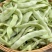 龙剑309架豆种子高产早熟蔓生无筋芸豆大棚盆栽四季播