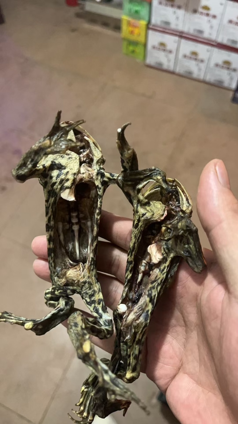 干蟾，蟾蜍干药用货源充足，需要的私聊我