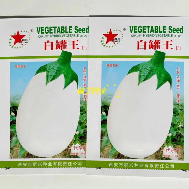 白罐王白茄子种子白罐茄圆茄子种籽四季播耐寒秋冬季蔬菜种子