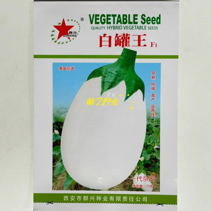 白罐王白茄子种子白罐茄圆茄子种籽四季播耐寒秋冬季蔬菜种子
