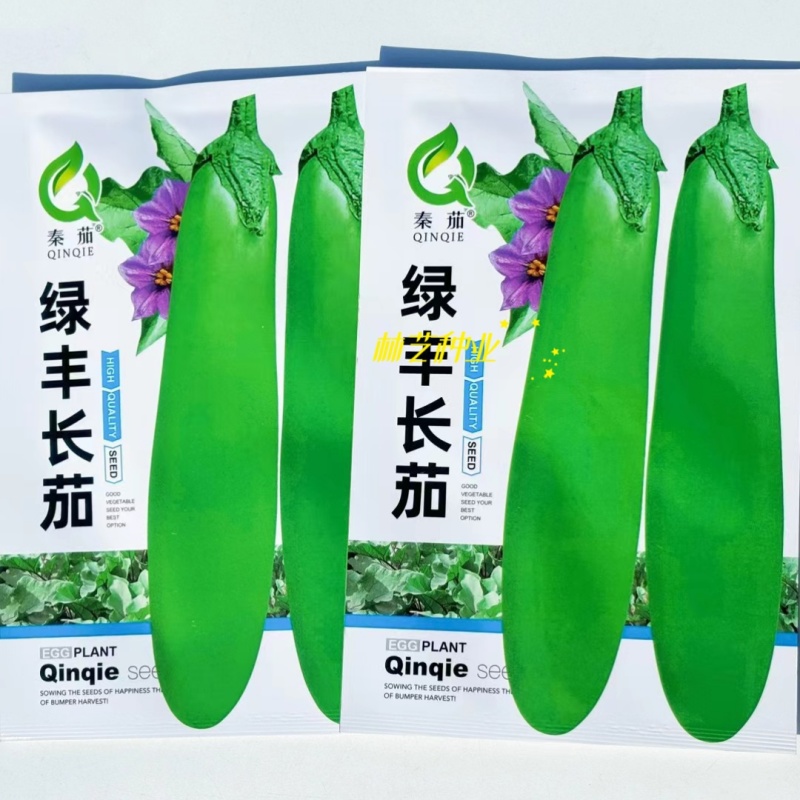 绿丰长茄子种子四季青皮茄瓜绿色耐热绿茄子种青长茄盆栽