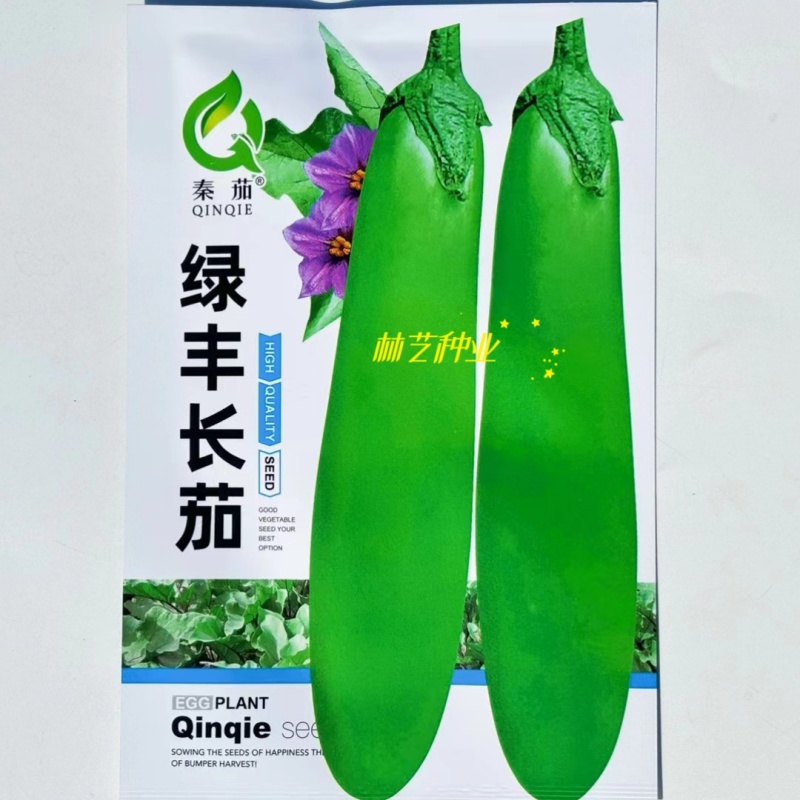 绿丰长茄子种子四季青皮茄瓜绿色耐热绿茄子种青长茄盆栽