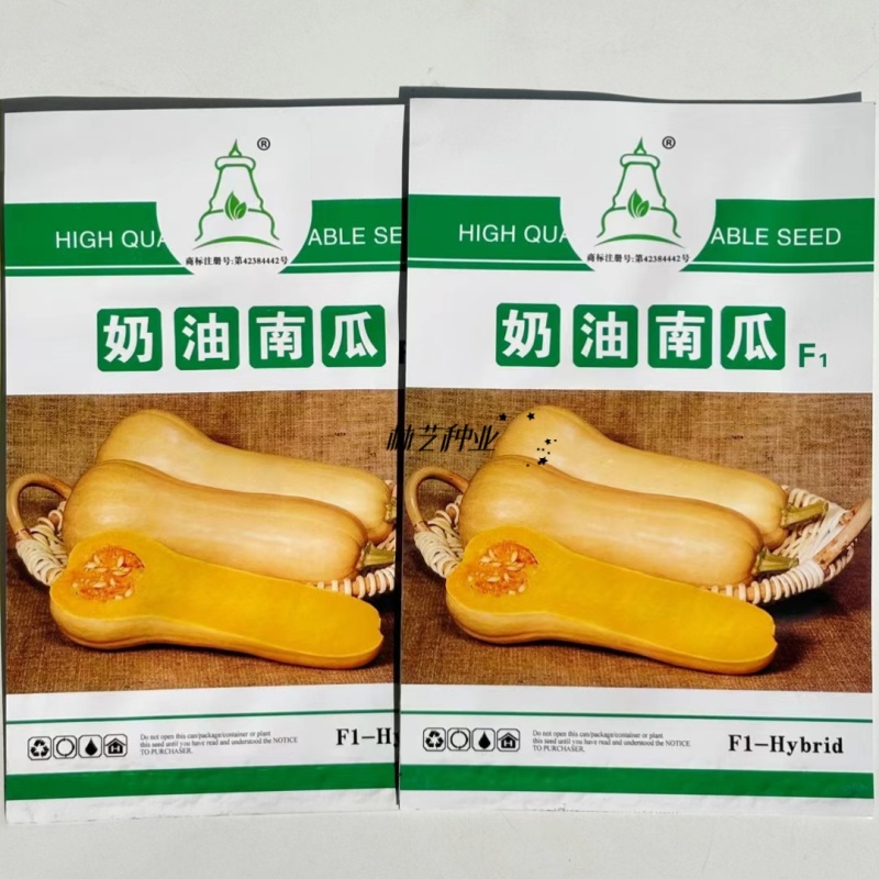 奶油南瓜种子早熟南瓜高甜高产耐贮运成色好